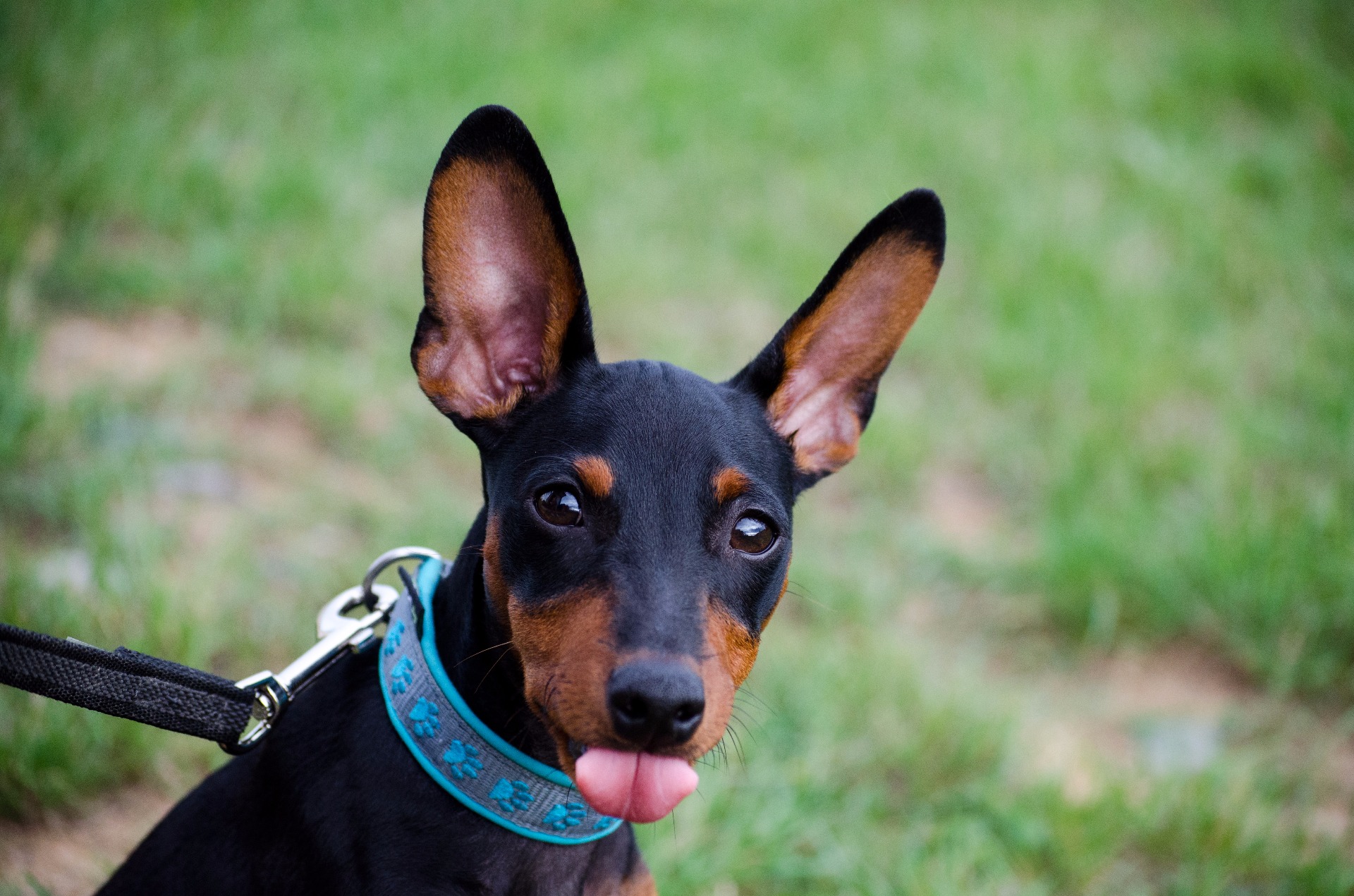 Foto: Lucia Kotianová